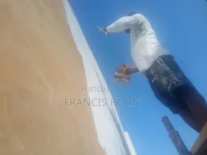 Andrei, Skimming and Painting Professional
