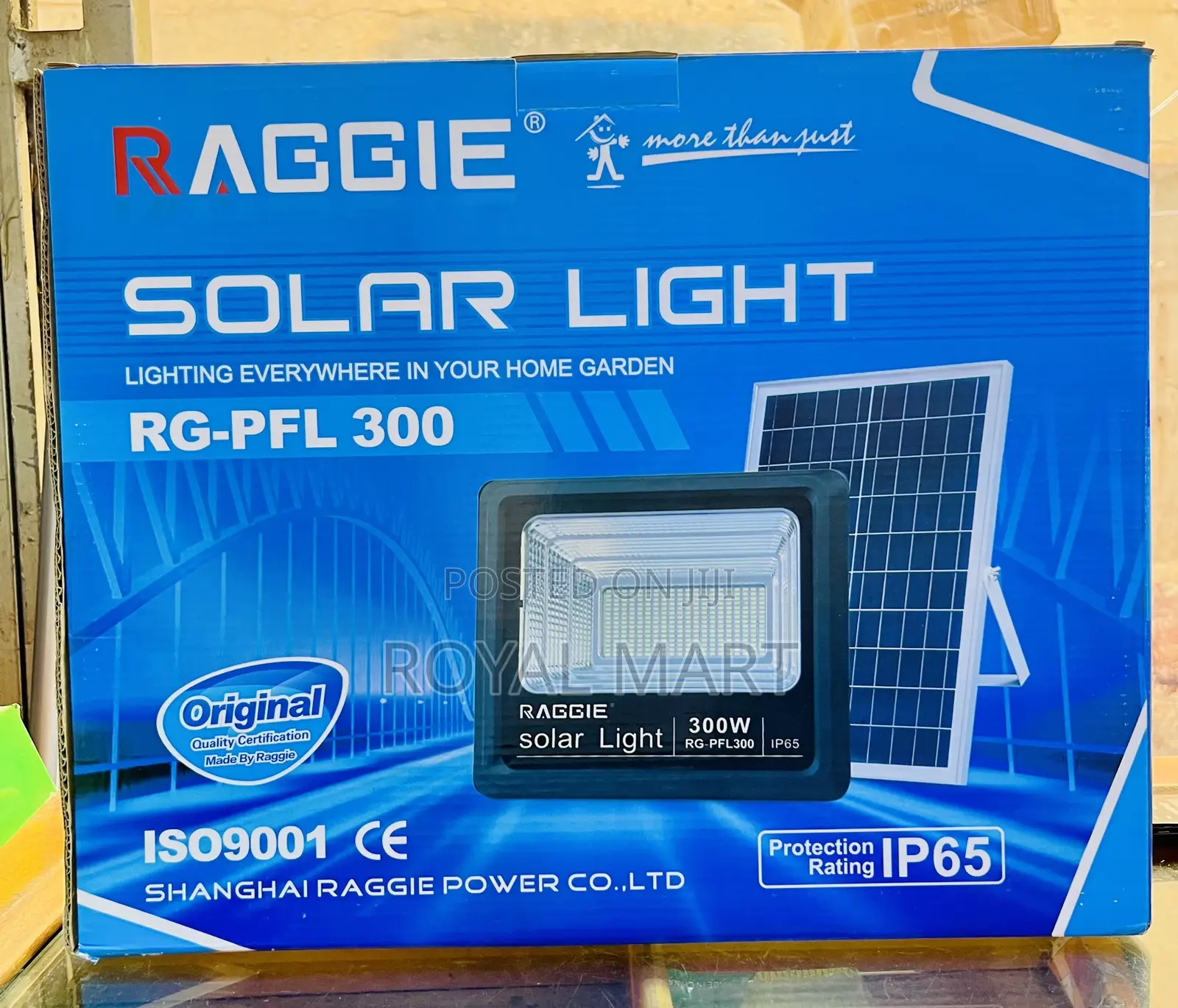 300w Solar Floodlight