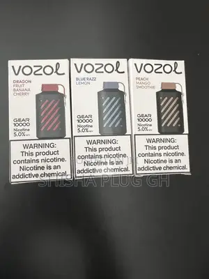 VOZOL 10000 Puff Vape