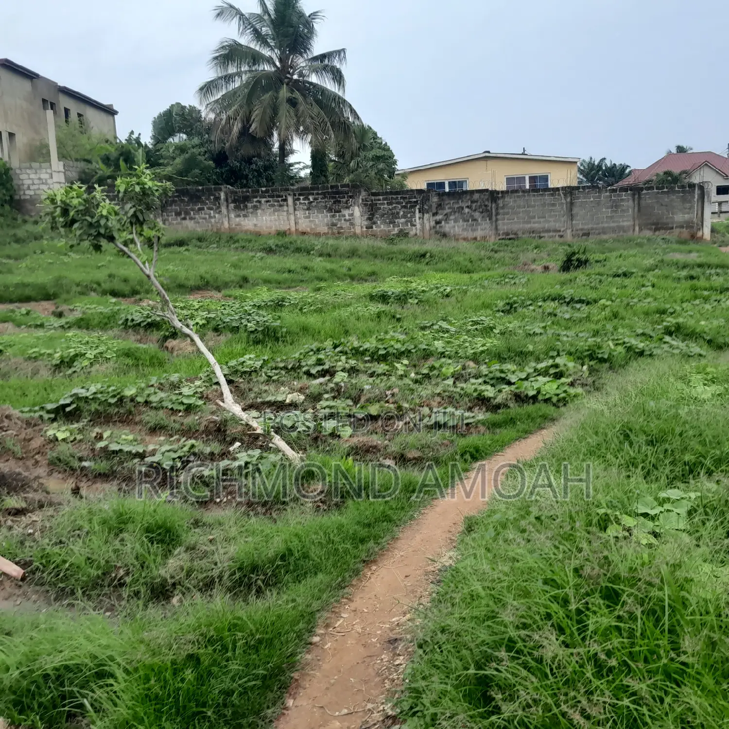 Plot for Sale at Poly Newsite