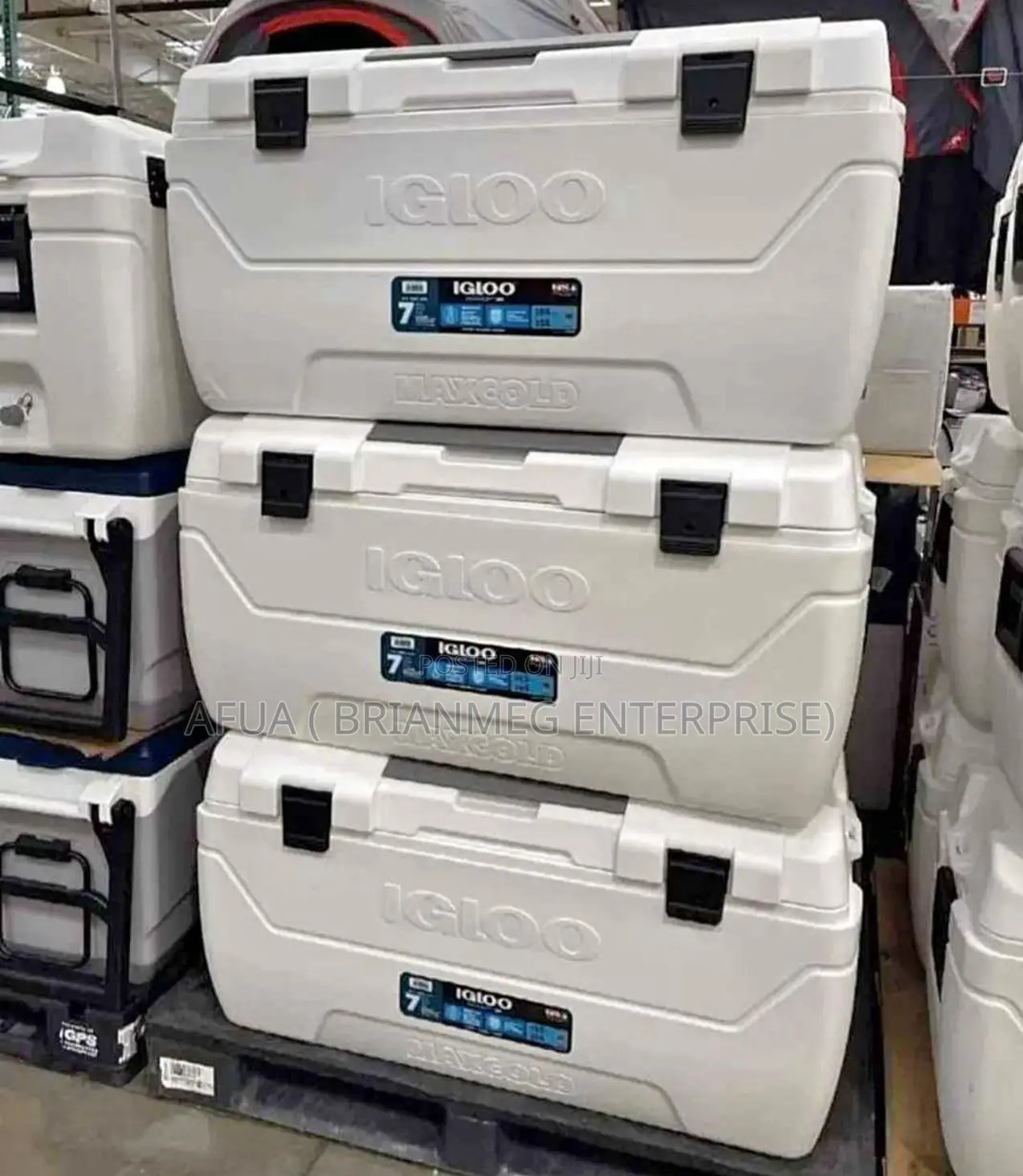 Cooler / Food Warmers