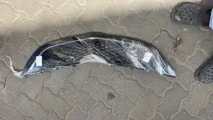 Toyota Yaris Belta Top Shell Grill 2007 2008 2009 2010