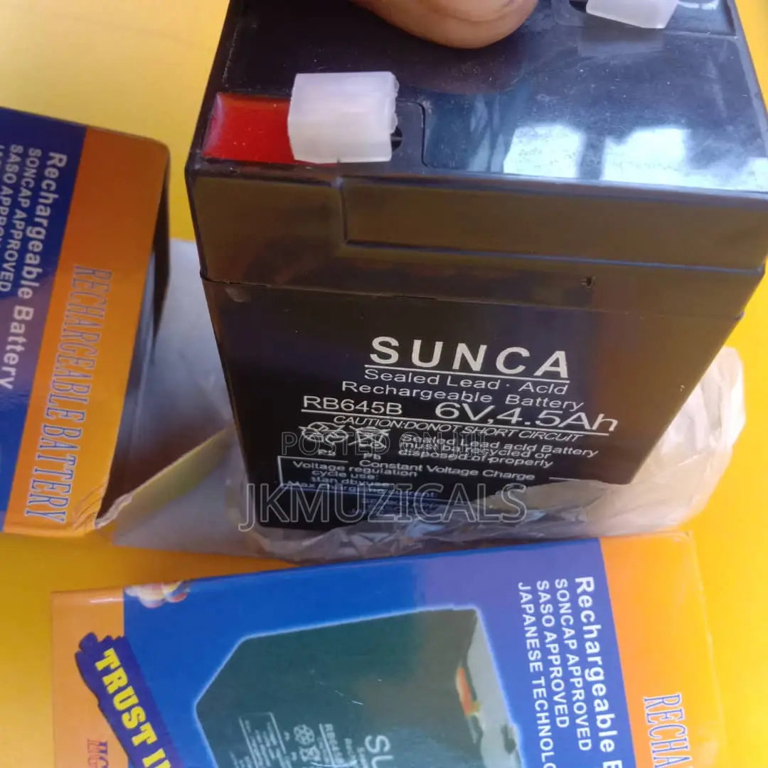 Rechargeable Fan Battery_ 6v 4.5ah | Rechargeable Battery