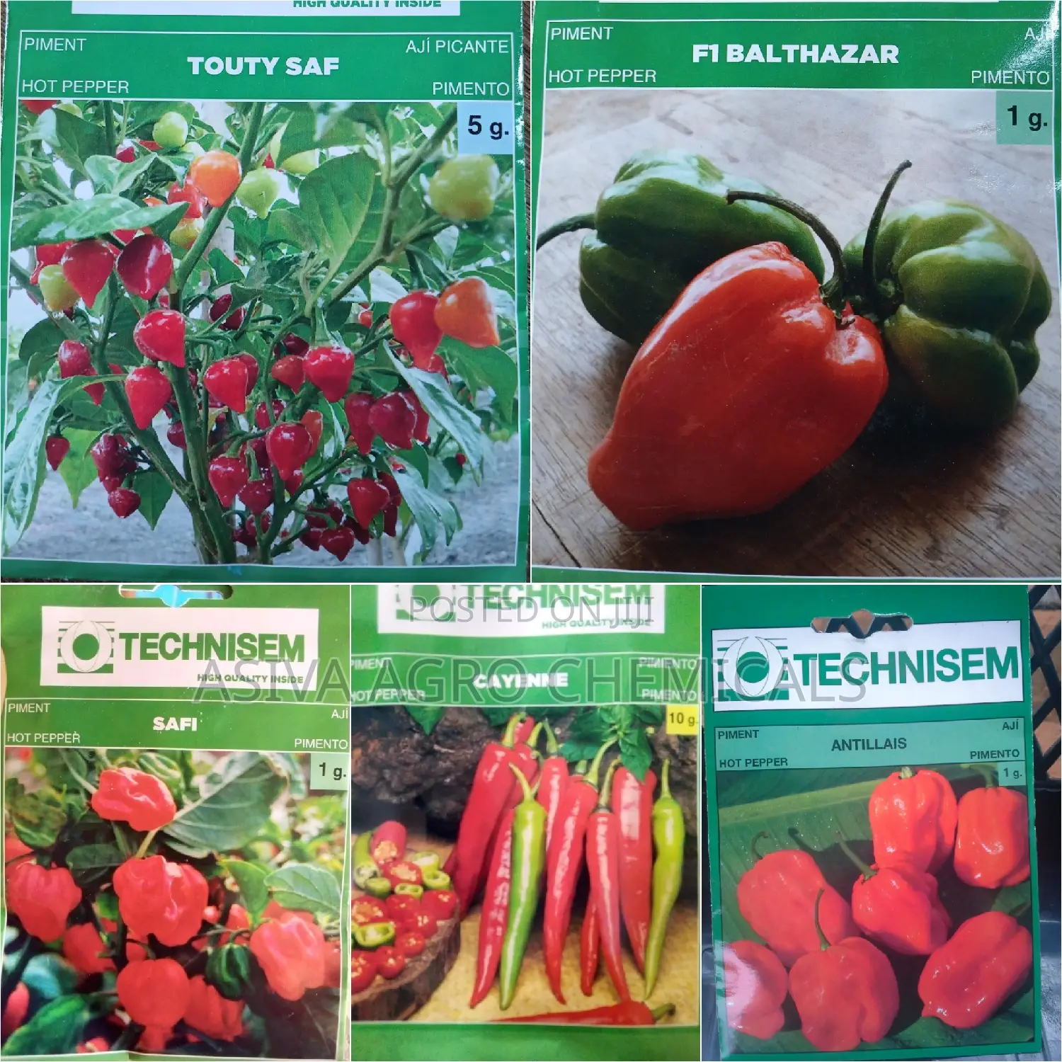 Pepper Seeds
