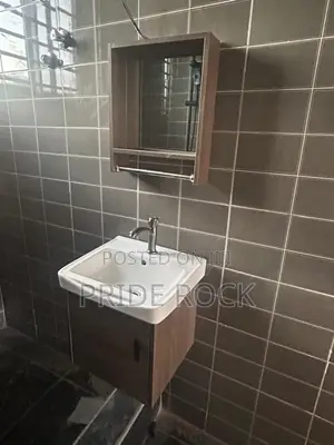 Cabinet Basin With Mirror,Shelf, Tap and Flexible Trap