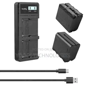 Dual Sony NPF Battery Charger