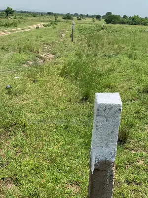 Demarcated and Titled Land for Sale at Tsopoli