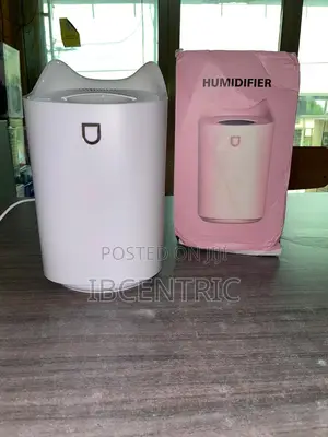 3000ML Double Nozzle Humidifier