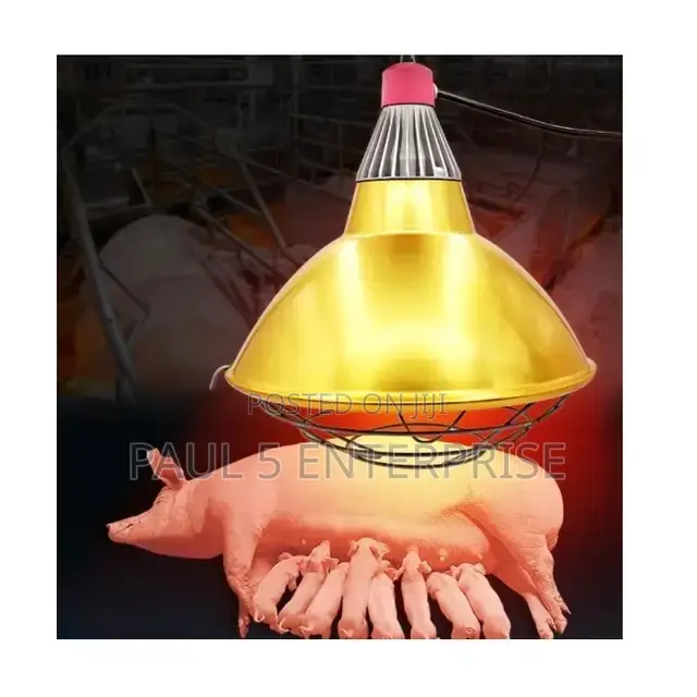 Heater Brooder Lamp for Poultry,Pigs and Other Animals