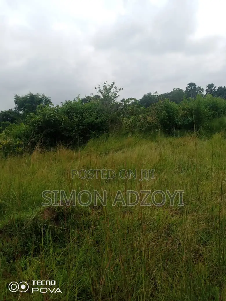 Farm Land for Lease