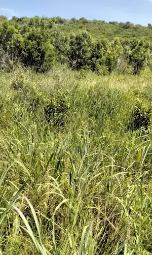 20 Acres Beachfront Land at Sakumono