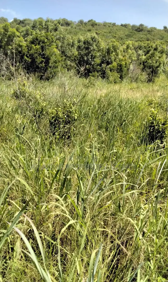 20 Acres Beachfront Land at Sakumono