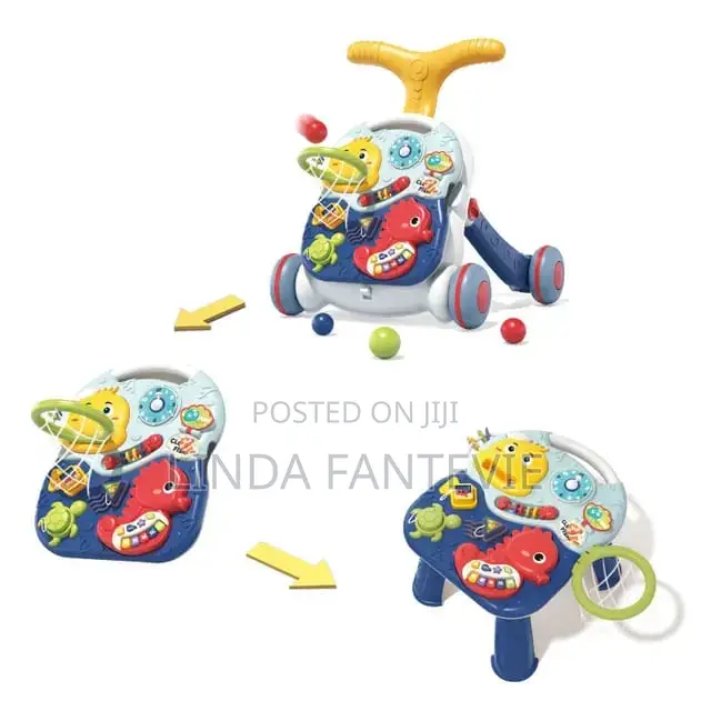 A Multi Functional Push Walker