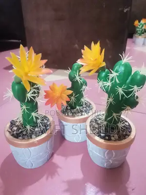 Potted Cactus Artificial (Promo Buy 2 Get 1 Free)