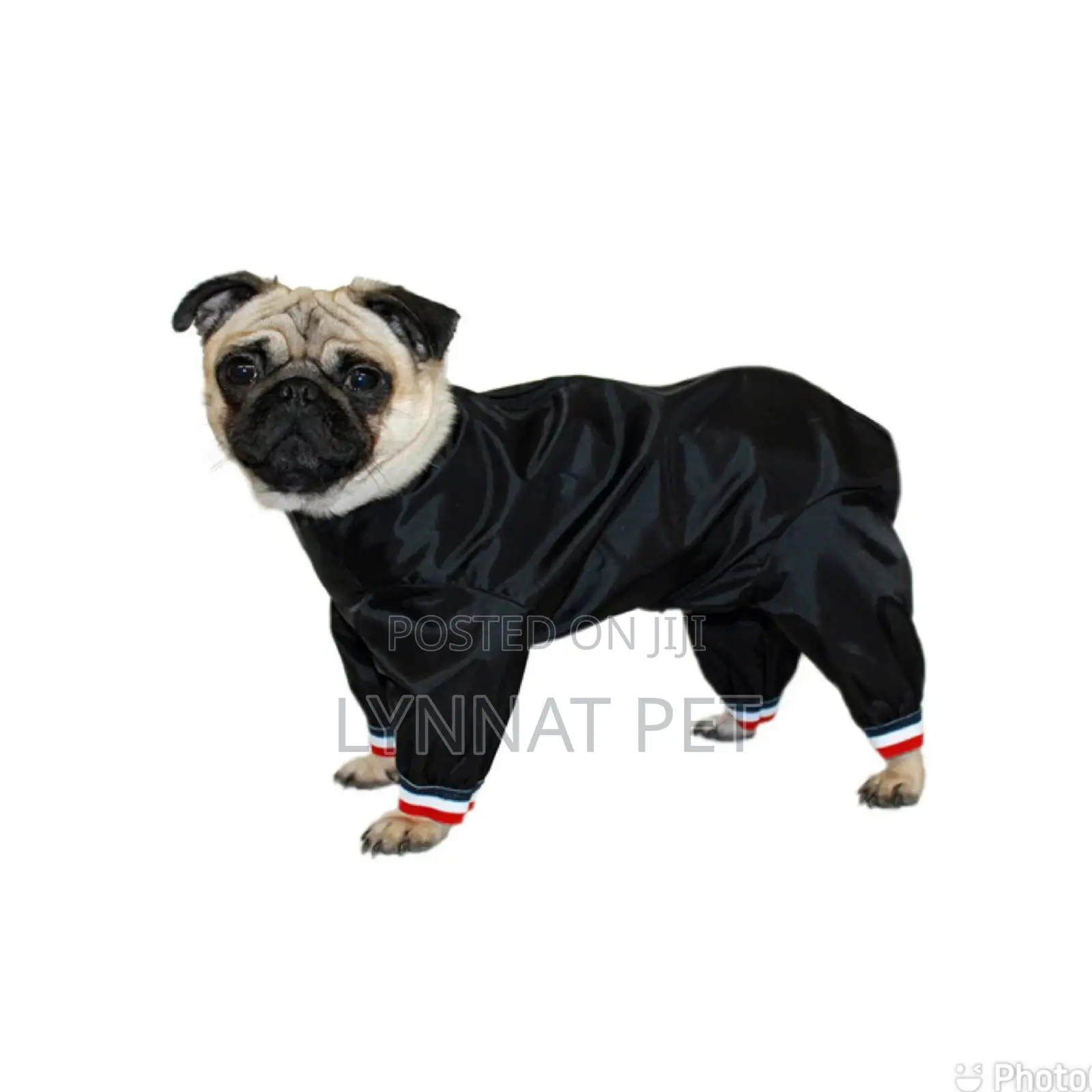Dog Rain Coat