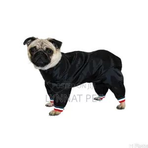 Dog Rain Coat