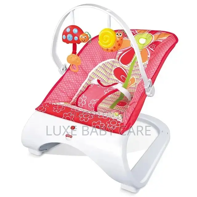 Baby Bouncer