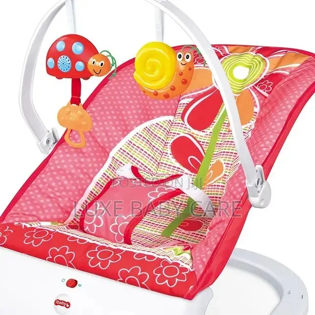 Baby Bouncer