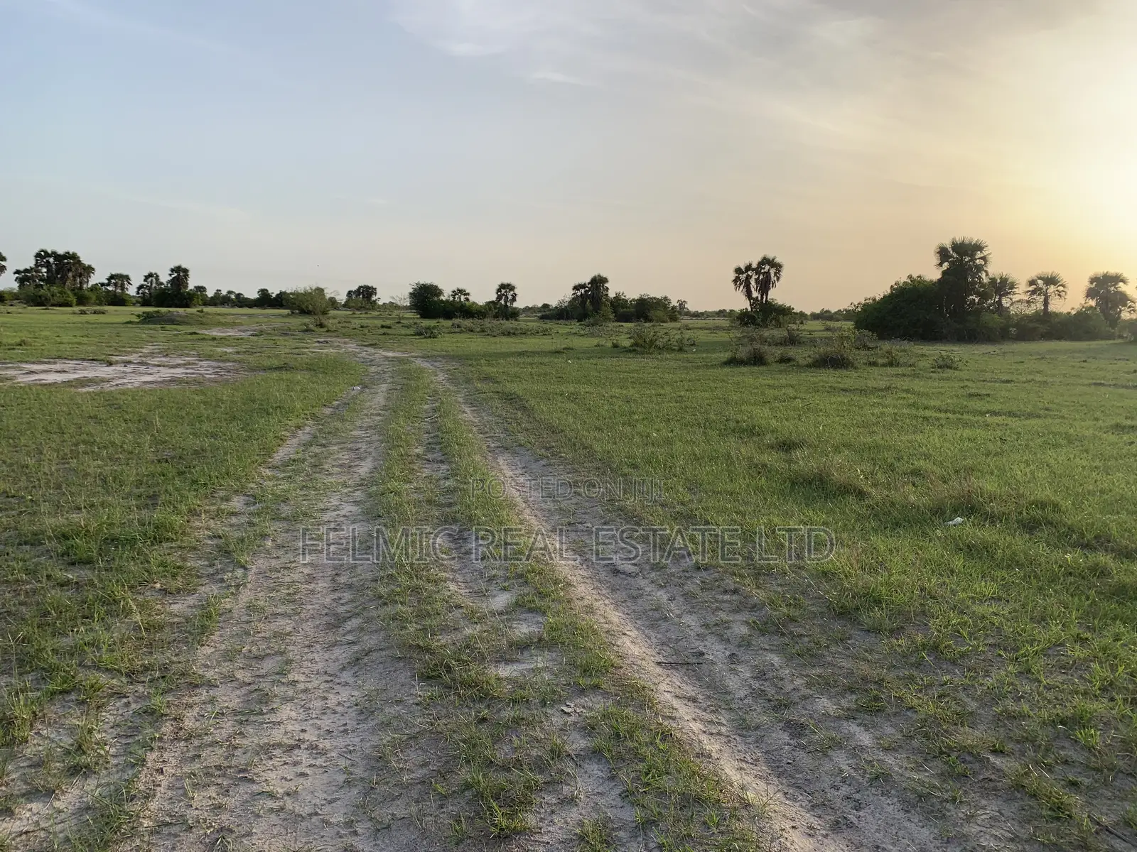 Plots of Land at Tsopoli for Sale