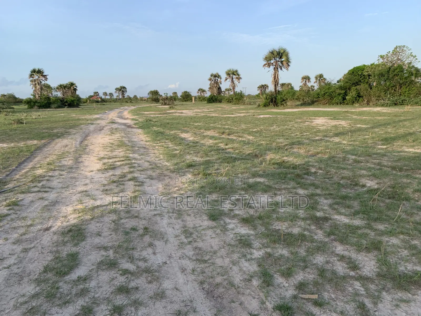 Plots of Land at Tsopoli for Sale