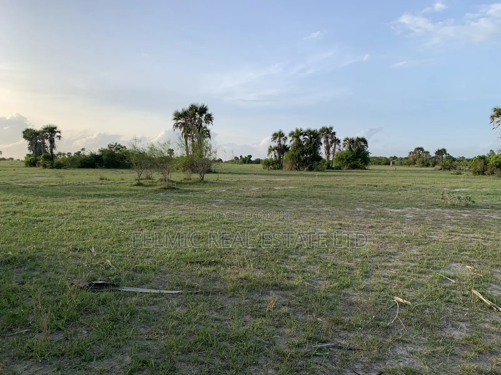 Plots of Land at Tsopoli for Sale