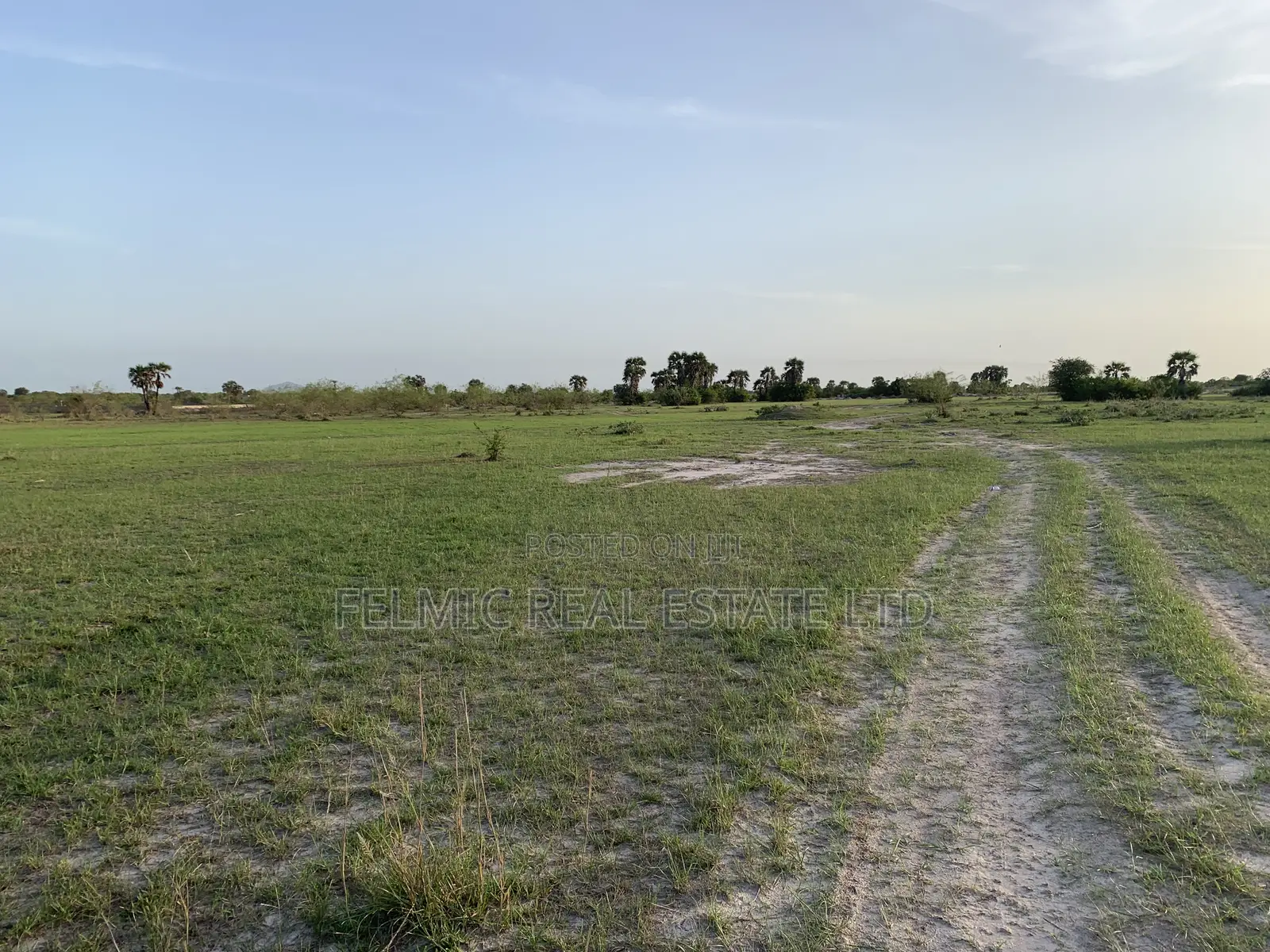 Plots of Land at Tsopoli for Sale