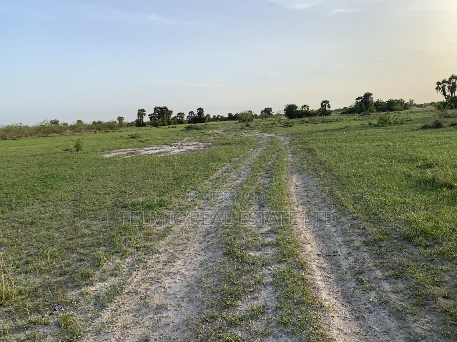 Plots of Land at Tsopoli for Sale