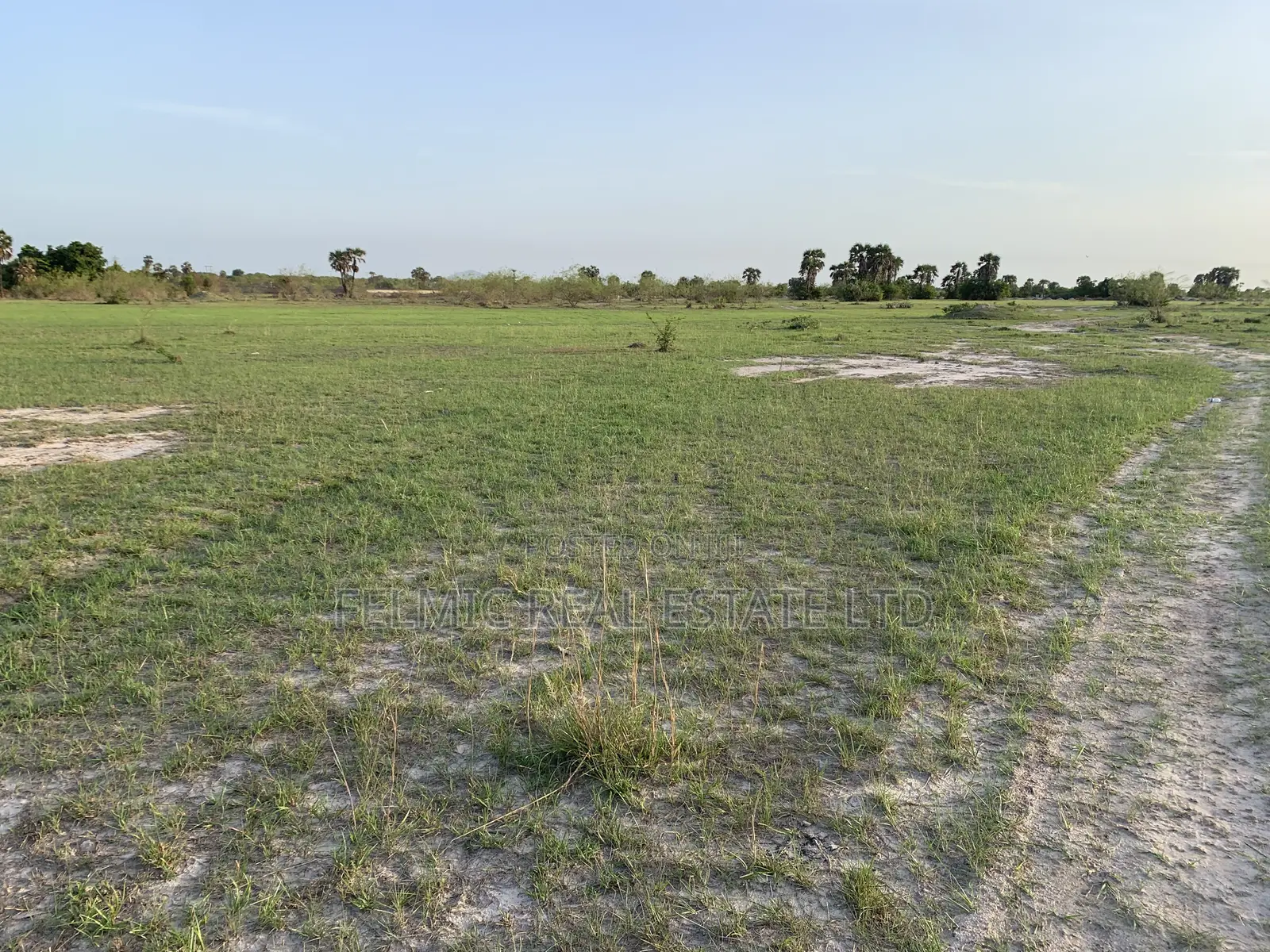 Plots of Land at Tsopoli for Sale