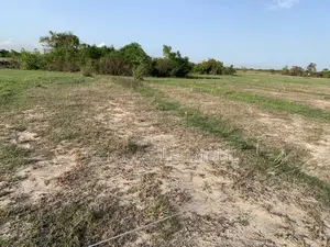 Plots of Land at Tsopoli for Sale