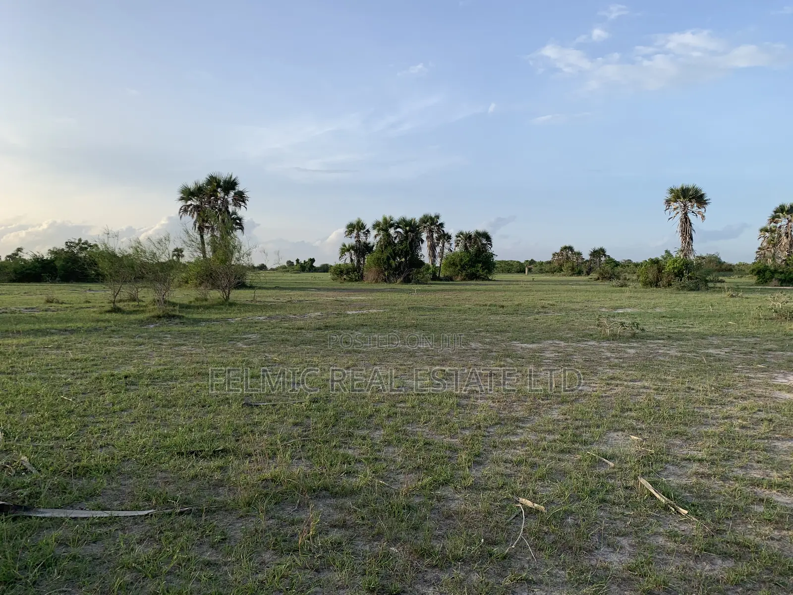 Plots of Land at Tsopoli for Sale