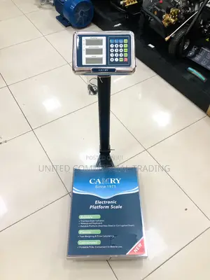 Electric Stainless Scale (Camry)