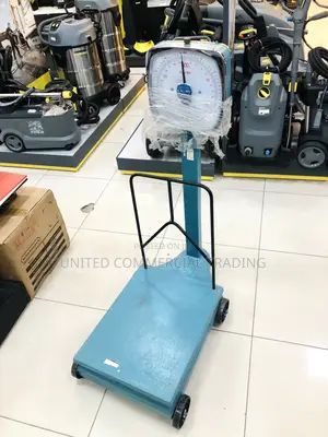 Scale (300kg Camry)