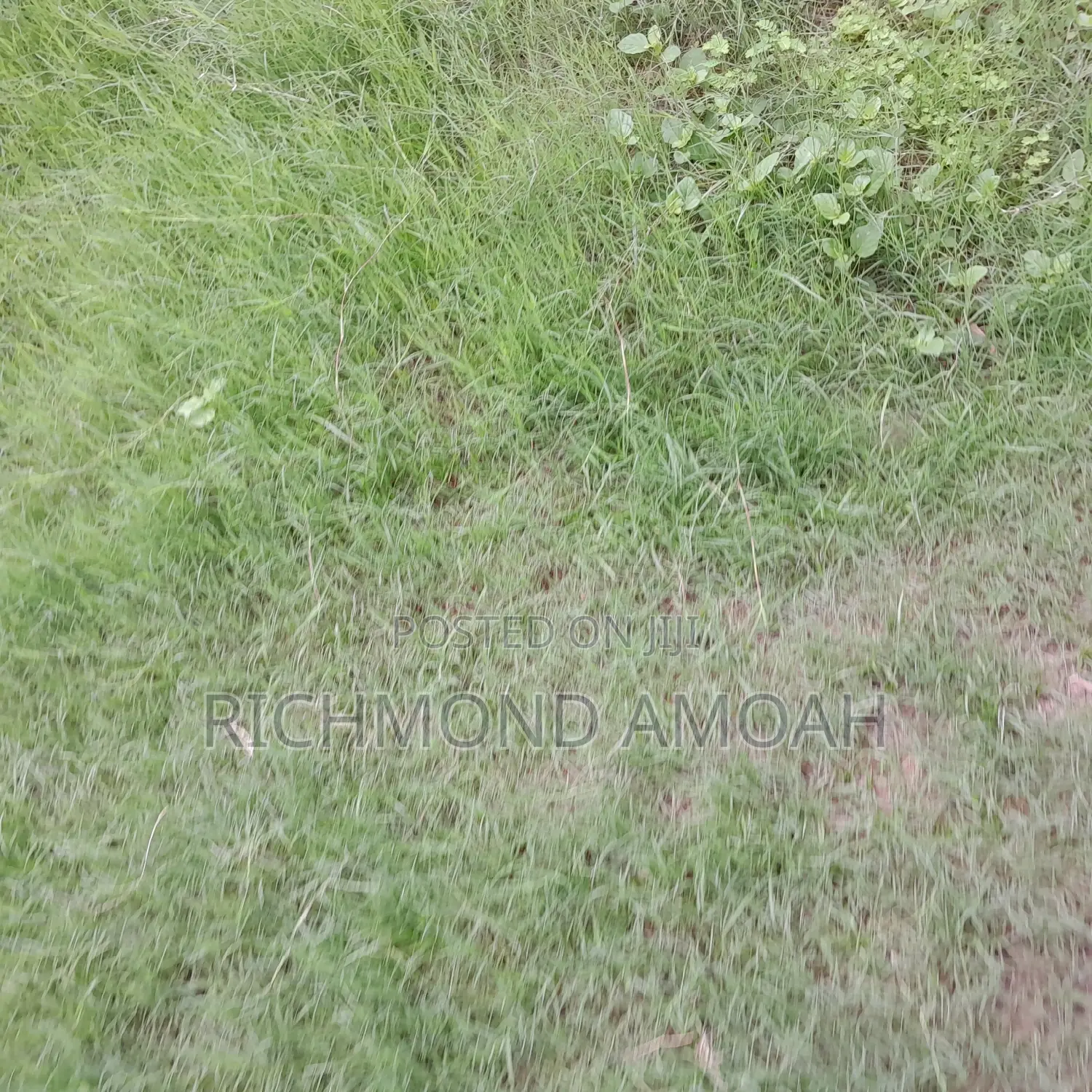 Half Plot for Sale at Queen of Peace Inside