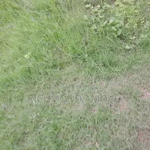 Half Plot for Sale at Queen of Peace Inside