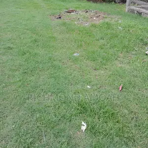 Half Plot for Sale at Queen of Peace Inside