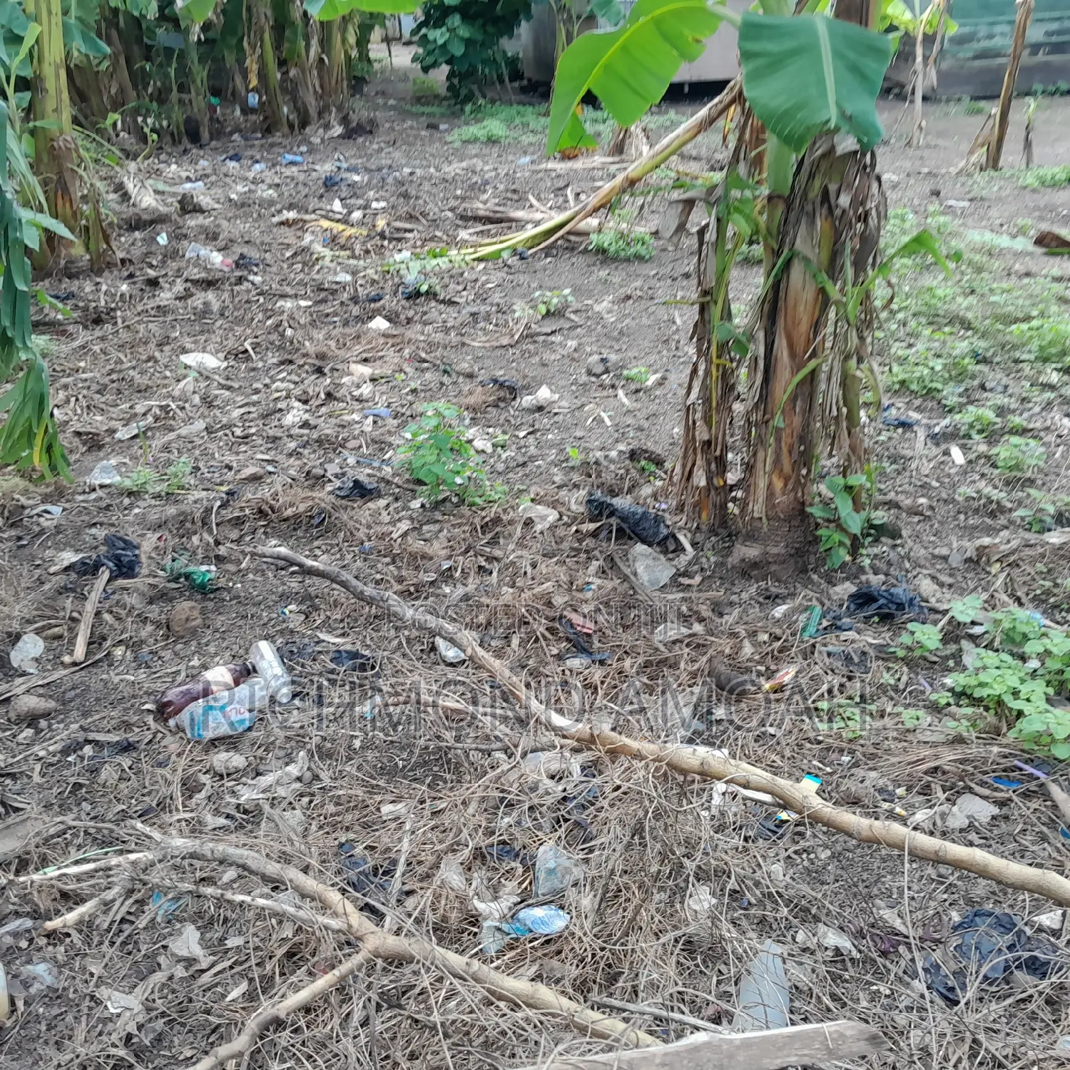 Half Plot for Sale at Kansa City