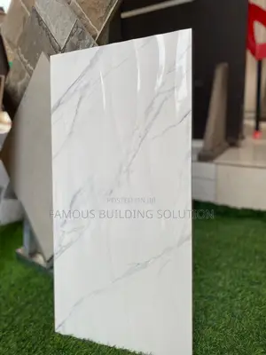 Made in India 30/60 Wall Tiles (Polished)