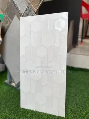 Made in India 30/60 Wall Tiles (Polished)