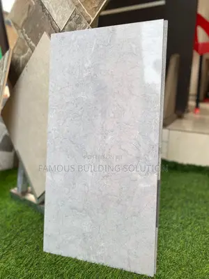 Made in India 30/60 Wall Tiles (Polished)