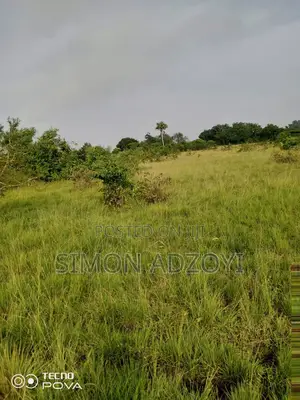 130,000 Acres of Farm Land for Sale or Lease
