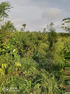 130,000 Acres of Farm Land for Sale or Lease