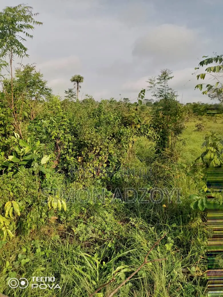 130,000 Acres of Farm Land for Sale or Lease