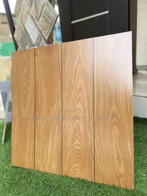 Made in India 60/60 Rustic Tiles (Rough Tile )