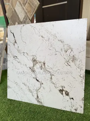 Made in India 60/60 Rustic Tiles (Rough Tile )