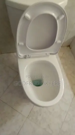 Professional Cleaning Services
