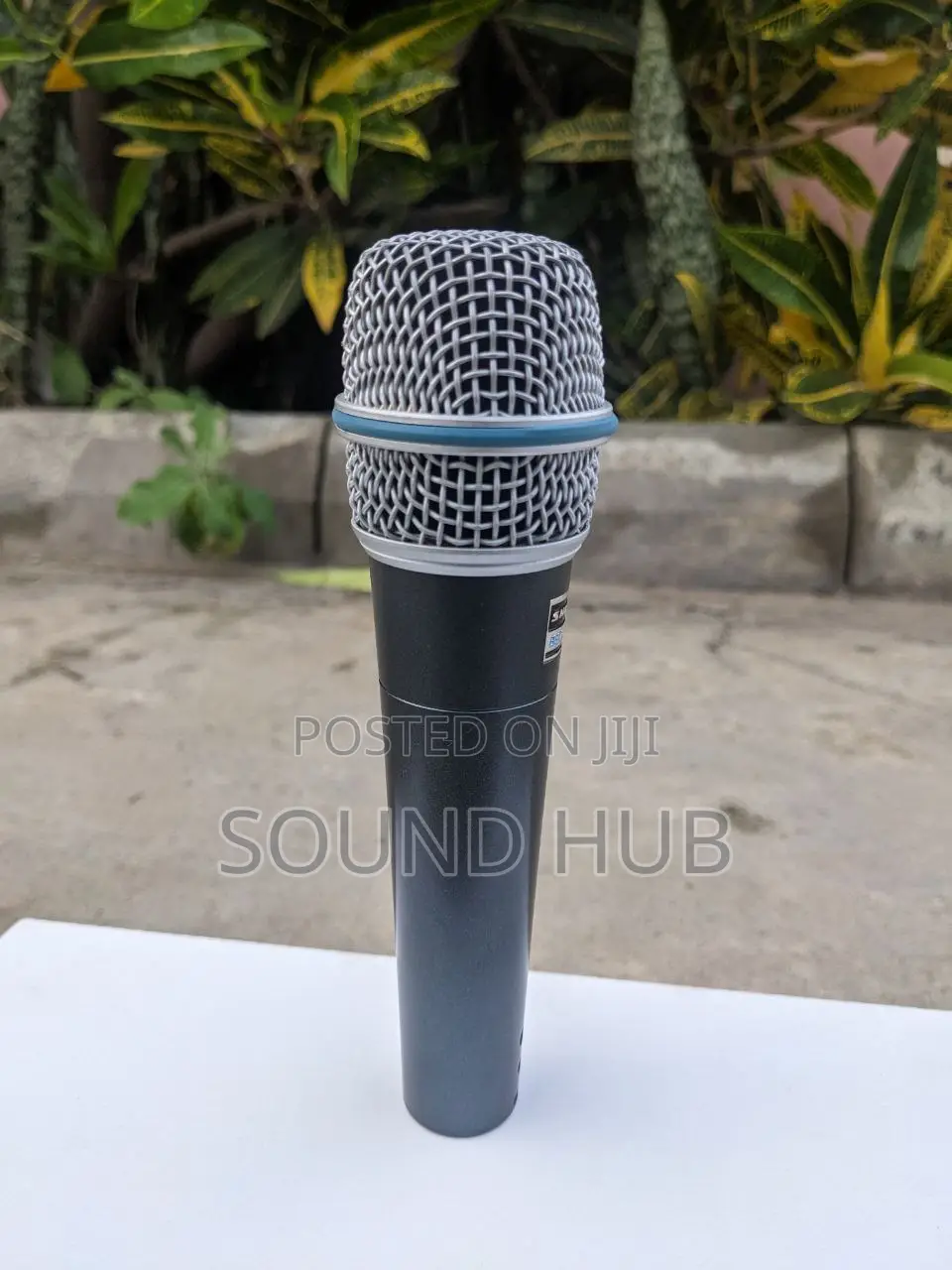 Shure Professional Wired Mic