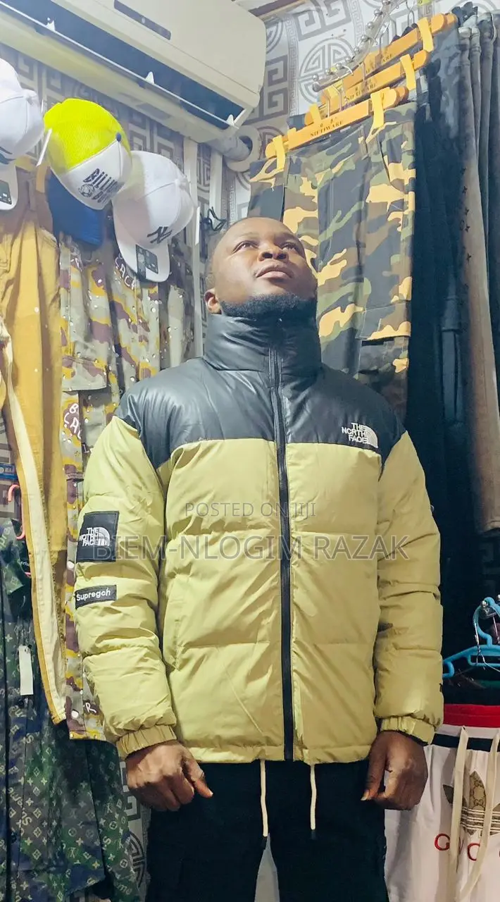 High Quality North Face Winter Jackets Available in Stock