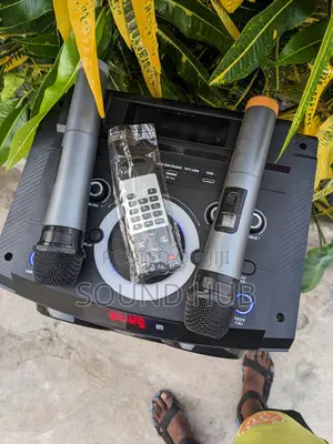 Powerful Double Rechargeable Speaker With 2 Microphon