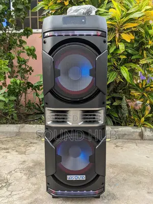 Powerful Double Rechargeable Speaker With 2 Microphon