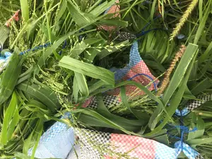 Fresh/Safe Organic Grass for Farm Animals(20kg)